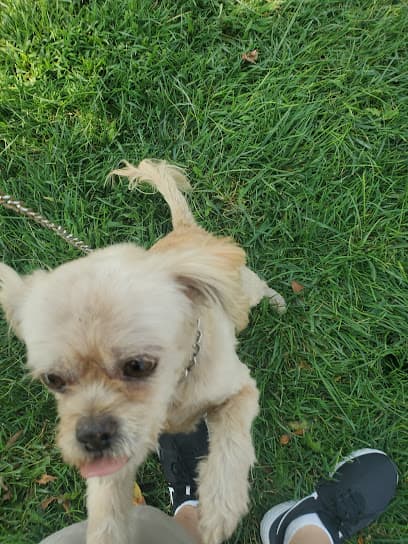 Above & Beyond Pet Care Clinic