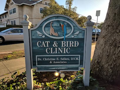 Cat and Bird Clinic