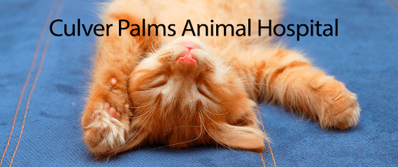 Culver Palms Animal Hospital