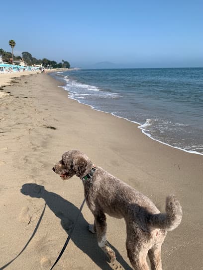 Jen’s pet sitting of Santa Barbara