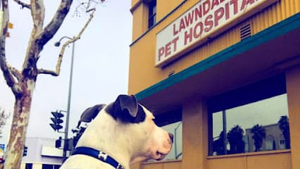 Lawndale Pet Hospital