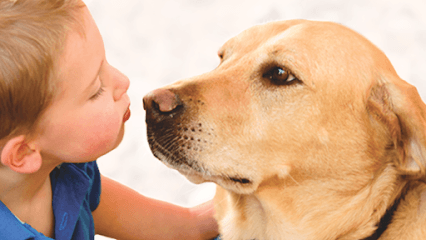 Los Feliz Small Animal Hospital