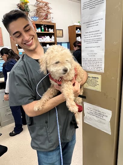 Oxnard Veterinary Hospital