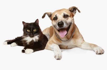 VCA Animal Medical & Dental Group