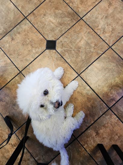 VCA Animal Medical Center of Southern California