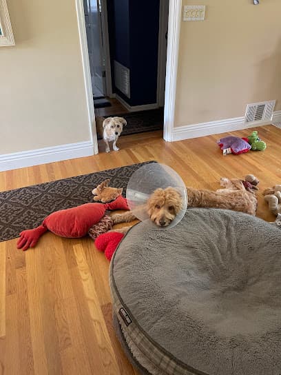 White's Pet Hospital: Douglas Verona DVM
