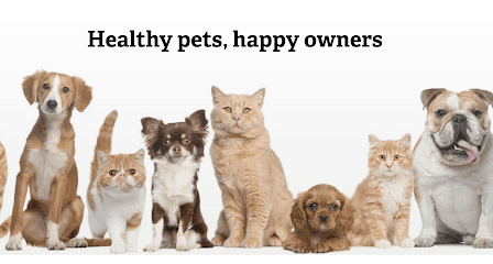 Affordable Animal Hospital: Santa Ana