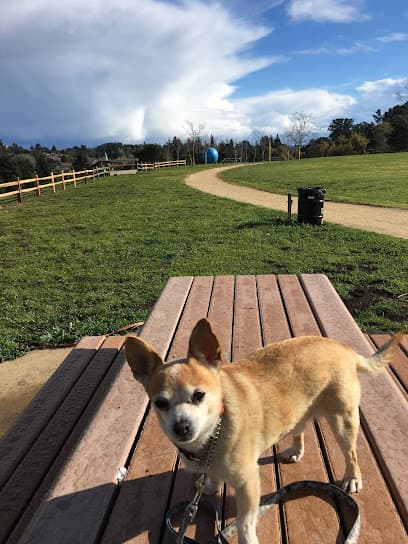 Soquel Creek Animal Hospital