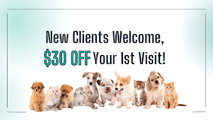 PetCare Veterinary Clinic