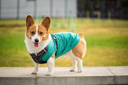 Beach Animal Urgent Care