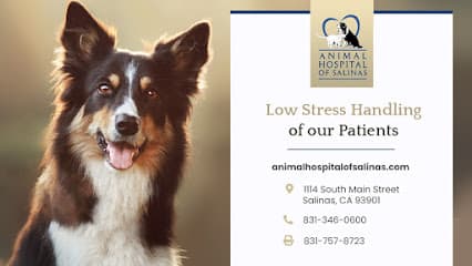 Animal Hospital of Salinas