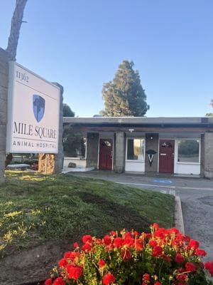 Mile Square Animal Hospital