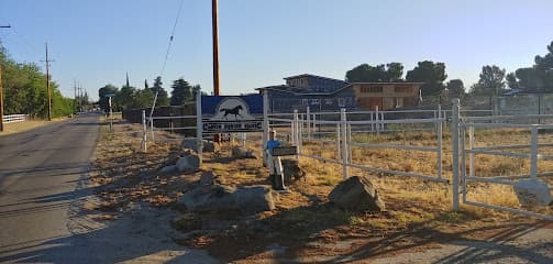 Clovis Equine Clinic