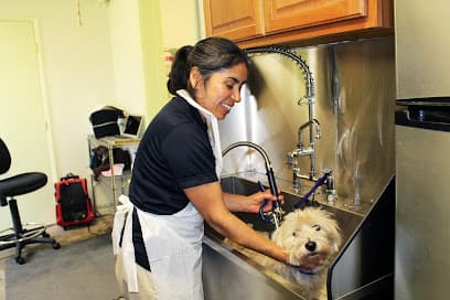 Steinbeck Country Small Animal Clinic