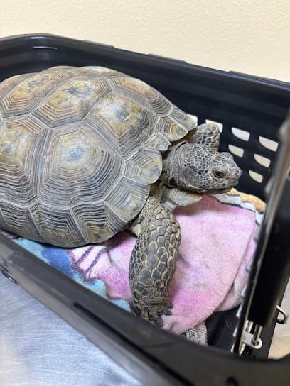 Perris Valley Veterinary Clinic