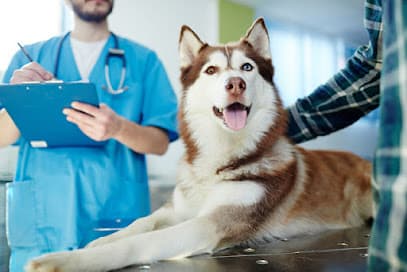 Moreno Valley Community Vet Care