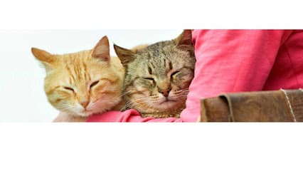 Signal Hill Pet Hospital