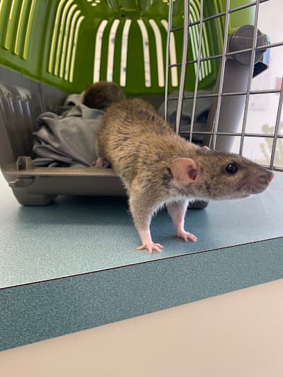 Capri Plaza Pet Clinic
