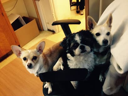 San Rafael Animal Hospital