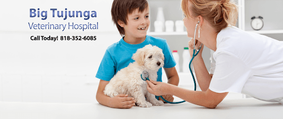 Big Tujunga Vet Hospital