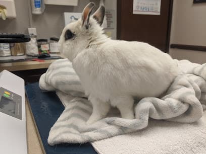 VCA Arden Animal Hospital