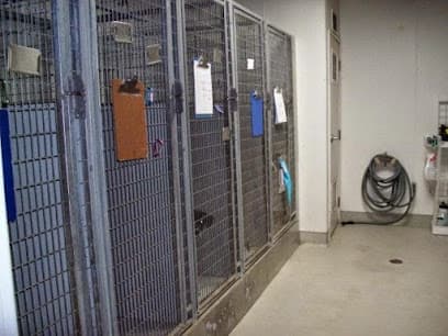 VCA Marina Bay Cities Animal Hospital