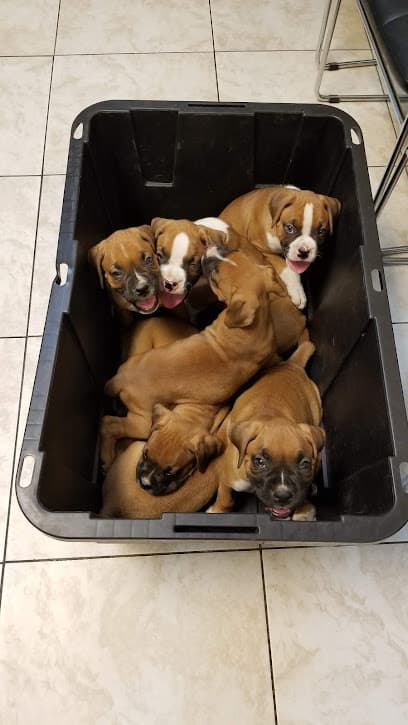 Azusa Animal Hospital