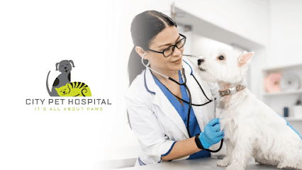 City Pet Hospital