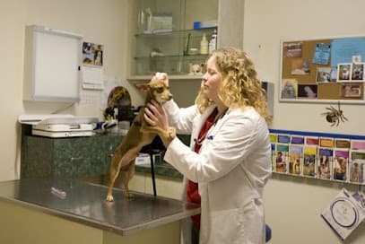 VCA Los Altos Animal Hospital