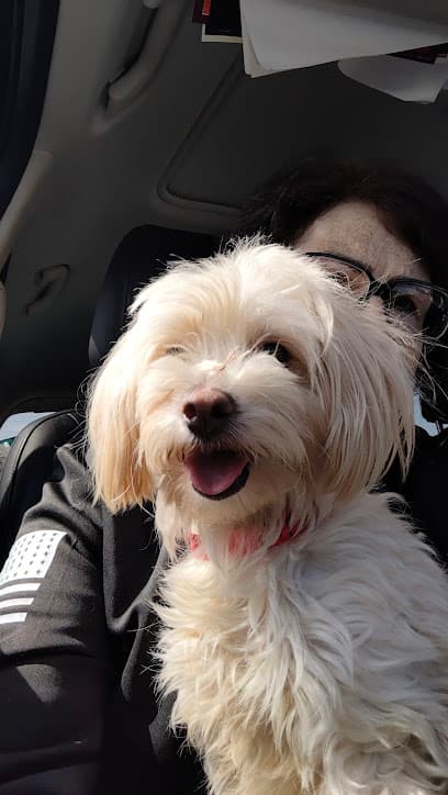 Walnut Valley Animal Hospital