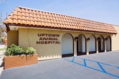 Uptown Animal Hospital Inc