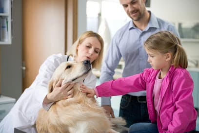 Gemcore Veterinary Services