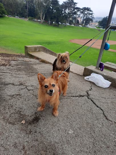 Park Animal Hospital