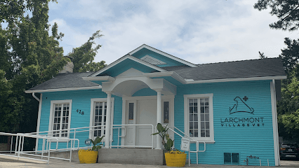 Larchmont Village Vet