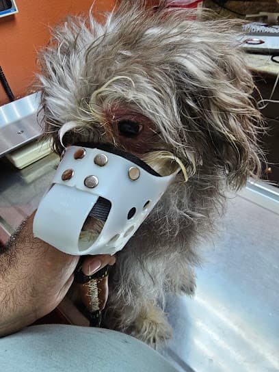Mercy Animal Medical Center