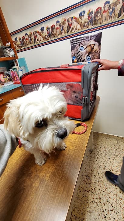 Las Tunas Animal Hospital