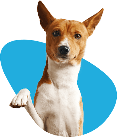CASE Animal Hospital