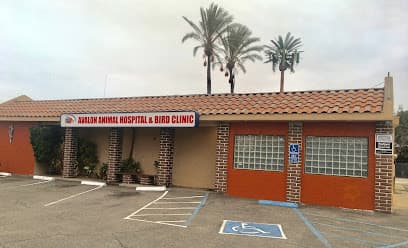 Avalon Animal Hospital & Bird Clinic