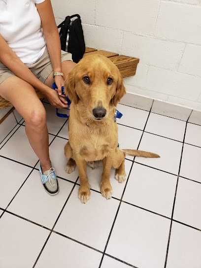 Hillcrest Pet Hospital